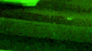 Fucking A Plumpy Girl While She Rides Hard