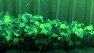 what's this sorcerer restarting with? hot hentai action!