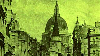 Uncovering Two Centuries of Vintage Hairy Secrets