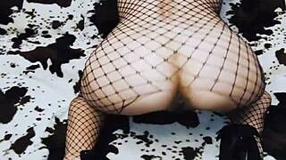 Beautiful wife in stockings and hot sex. She loves that pov anal assfucking.