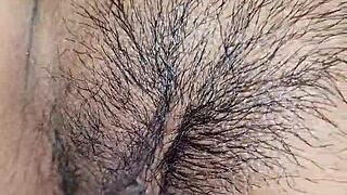 מילפים לטיניות ציצים קטנים קלוז-אפ