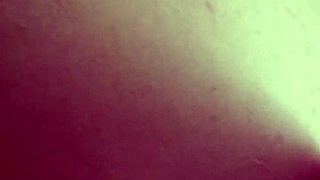 Su Primer Anal Y No Aguanta?