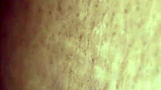 bbw anal lover gets wet assfucking