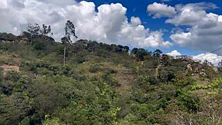 Wow! Lesbian Sex Outdoors After an Adrenaline Rush Hits Hard!