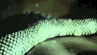 Vintage Animalistic Pussy & Pooch