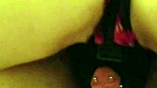 wife teases hard cock in playful moment