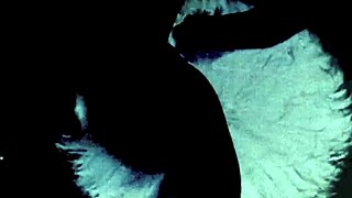 The amazing vintage threesome porn world