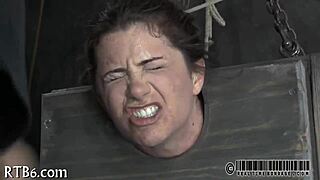 i am your bdsm slave in this collar.