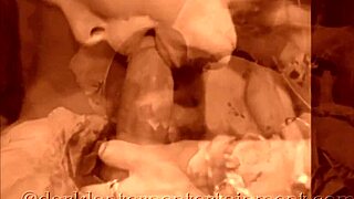 Discover Portland Road from My Secret Life