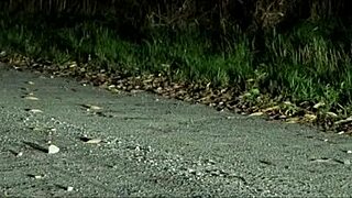 I had hot sex with a stranger on the road, so excitin