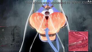 Unaltered installation: Level 0 and 1 of uncensored Hentai video