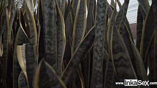 Petite Venezuelan model grabbed by Peruvian near train tracks