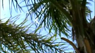 Wow! Cock Sucking Babe Katja Kassin Fucks Hard Outdoors