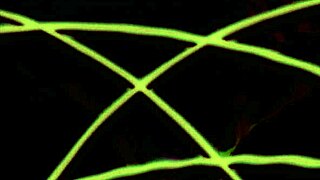 Epic Zodiac Knights in Heavenly Prologue Film