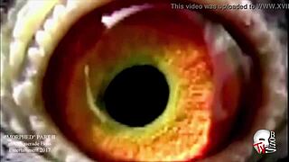 best big booty twerk for lovers?