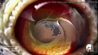 best big booty twerk for lovers?