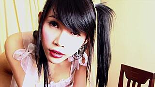 ladyboy yoko strokes her uncut dick in lingerie with pigtails, so hot! 😍