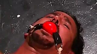 mistress nicole sheridan disciplines male slave for betraying her with another domina