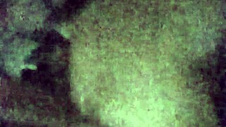 Does This Cumslut Love Her Facial in Bunny Outfit?