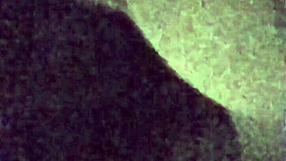 Does This Cumslut Love Her Facial in Bunny Outfit?