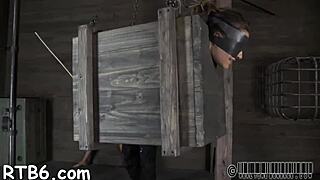 Pleasant babe in hardcore scene with sucking, fucking, and facial climax