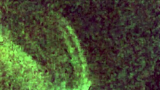 Does This Cumslut Love Her Facial in Bunny Outfit?