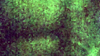 Does This Cumslut Love Her Facial in Bunny Outfit?