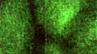 Does This Cumslut Love Her Facial in Bunny Outfit?