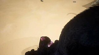 Pov Of Two Gay Wolves Fucking