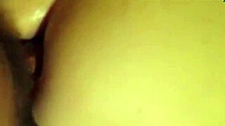 Exploring the world of big-breasted anime games with Shamsiel