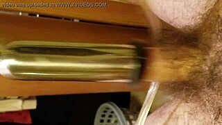 Extended Session Focused on Milking Activities in a Routine Setting.