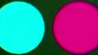 White And Asian Lesbians Passionately Eat Pussy