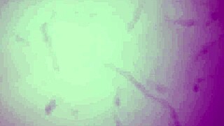 A LASTING ERECTION WITH ALURA JENSON AND TOMMY WOOD