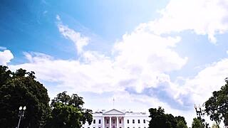 Ornella Morgan shows off in job interview POV style