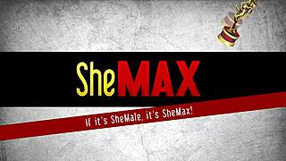 Teen ladyboy shows lush tits and strokes cock in mirror.