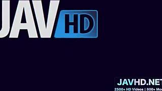 Still warm hairy pussies straight from Japan!