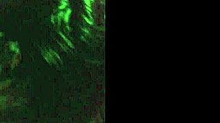 i let a stranger suck it on the cable car and loved it