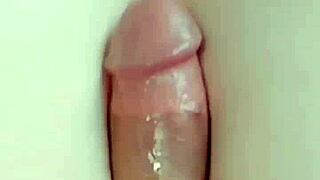 Sissy Kitty Dances With Big Ass.