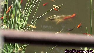 petite eurobabe getting anally fucked