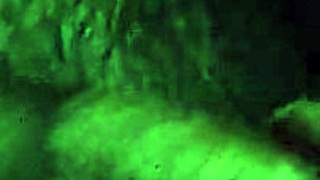 Nikee Daniel: Amateurs Suck And Lick Black Ass And Balls