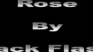 Black trans women have an orgasm on Thursday in Rose