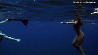 Sea Adventures Diving Underwater in Tenerife