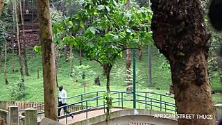 what kind of stories end with public fucking in the woods?