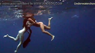 Sea Adventures Diving Underwater in Tenerife