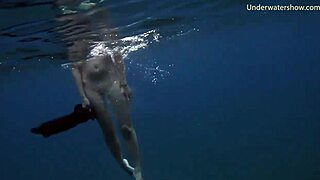 Sea Adventures Diving Underwater in Tenerife