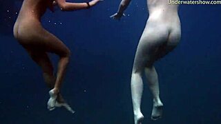 Sea Adventures Diving Underwater in Tenerife