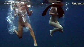 Sea Adventures Diving Underwater in Tenerife