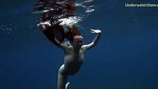 Sea Adventures Diving Underwater in Tenerife