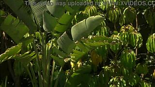 autumn bliss enjoys a raw fuck after swimming in the pool