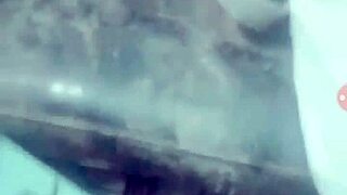 Gay Encounters And Adventures